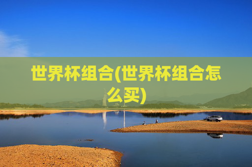 世界杯组合(世界杯组合怎么买)