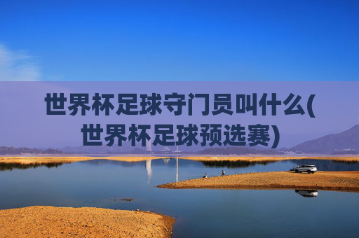 世界杯足球守门员叫什么(世界杯足球预选赛)
