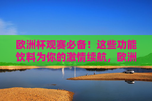 欧洲杯观赛必备!这些功能饮料为你的激情续航,欧洲杯观赛必备,功能饮料为激情续航