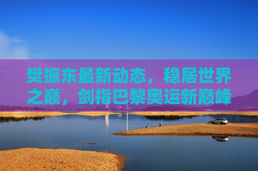 樊振东最新动态，稳居世界之巅，剑指巴黎奥运新巅峰，樊振东稳居世界之巅 剑指巴黎奥运新巅峰