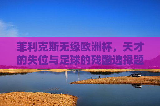菲利克斯无缘欧洲杯,天才的失位与足球的残酷选择题,菲利克斯的失位,天才与足球的残酷选择题