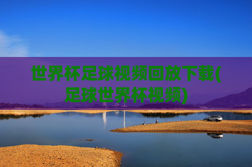 世界杯足球视频回放下载(足球世界杯视频)