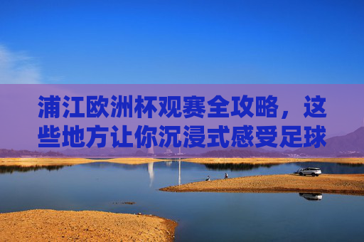 浦江欧洲杯观赛全攻略，这些地方让你沉浸式感受足球狂潮！浦江欧洲杯观赛全攻略，沉浸式感受足球狂潮