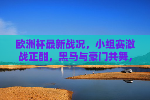 欧洲杯最新战况，小组赛激战正酣，黑马与豪门共舞，欧洲杯小组赛激战，黑马与豪门共舞