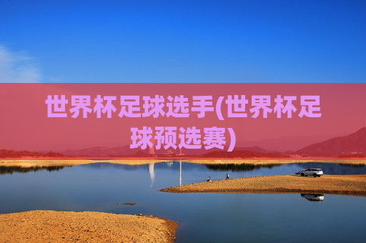 世界杯足球选手(世界杯足球预选赛)