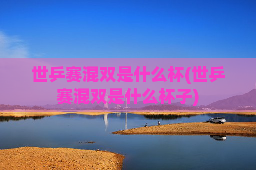 世乒赛混双是什么杯(世乒赛混双是什么杯子)