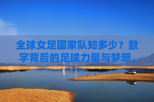 全球女足国家队知多少?数字背后的足球力量与梦想,全球女足国家队,数字背后的力量与梦想