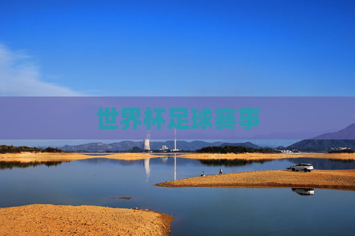 世界杯足球赛事