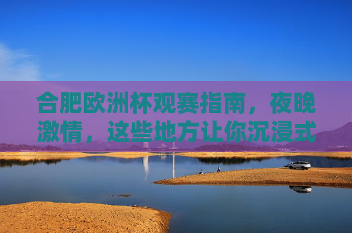 合肥欧洲杯观赛指南,夜晚激情,这些地方让你沉浸式嗨杯!