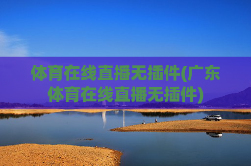 体育在线直播无插件(广东体育在线直播无插件)