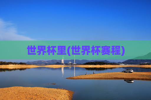 世界杯里(世界杯赛程)