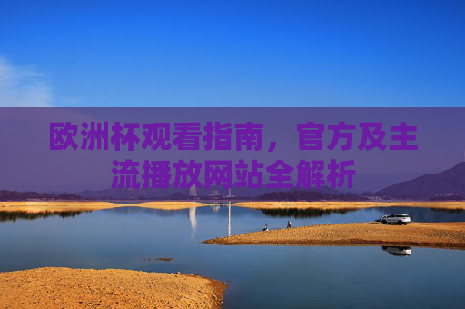 欧洲杯观看指南,官方及主流播放网站全解析