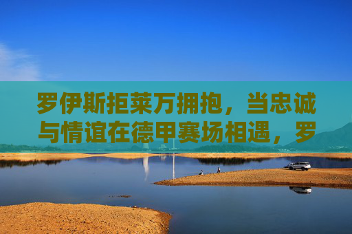 罗伊斯拒莱万拥抱，当忠诚与情谊在德甲赛场相遇，罗伊斯拒莱万拥抱，德甲赛场上的忠诚与情谊