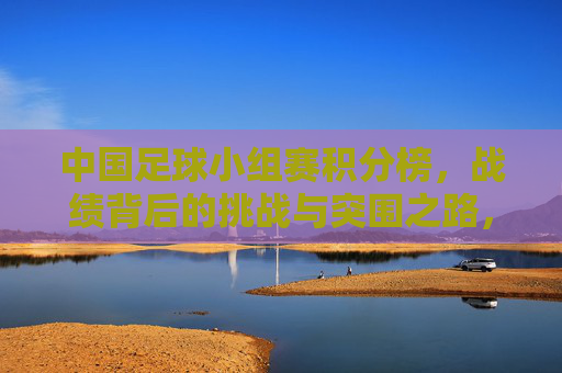 中国足球小组赛积分榜,战绩背后的挑战与突围之路,中国足球小组赛,战绩背后的挑战与突围