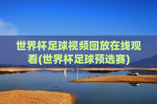 世界杯足球视频回放在线观看(世界杯足球预选赛)