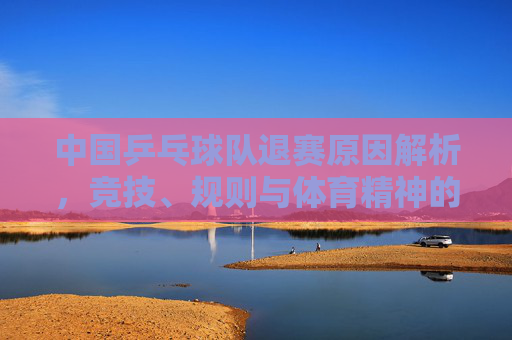 中国乒乓球队退赛原因解析,竞技、规则与体育精神的交织,中国乒乓球队退赛原因,竞技、规则与体育精神的交织
