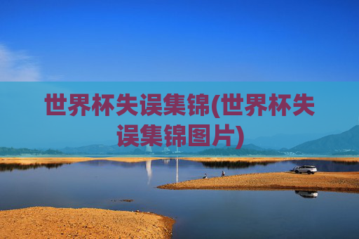 世界杯失误集锦(世界杯失误集锦图片)