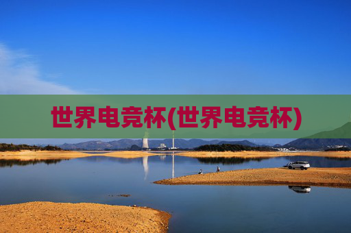 世界电竞杯(世界电竞杯)