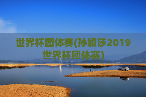 世界杯团体赛(孙颖莎2019世界杯团体赛)