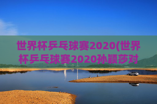 世界杯乒乓球赛2020(世界杯乒乓球赛2020孙颖莎对伊藤)