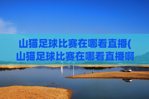 山猫足球比赛在哪看直播(山猫足球比赛在哪看直播啊)