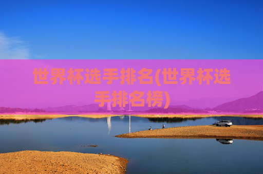 世界杯选手排名(世界杯选手排名榜)
