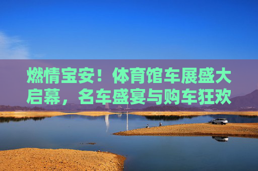 燃情宝安!体育馆车展盛大启幕,名车盛宴与购车狂欢全城瞩目,燃情宝安!体育馆车展盛大启幕 名车盛宴购车狂欢全城瞩目