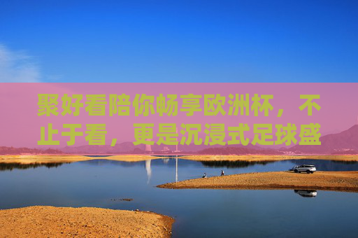 聚好看陪你畅享欧洲杯,不止于看,更是沉浸式足球盛宴,聚好看欧洲杯,沉浸式足球盛宴,畅享不止
