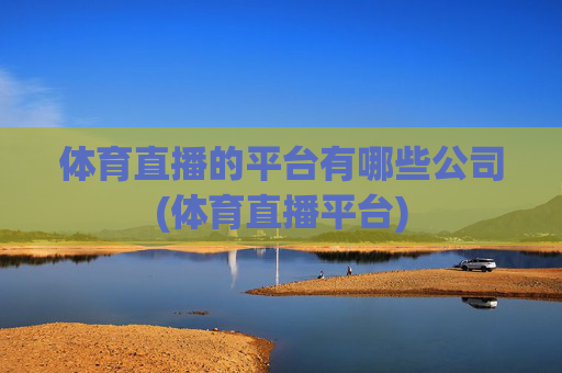 体育直播的平台有哪些公司(体育直播平台)