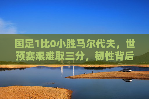 国足1比0小胜马尔代夫，世预赛艰难取三分，韧性背后仍存隐忧，世预赛，国足1-0小胜马尔代夫，韧性背后存隐忧