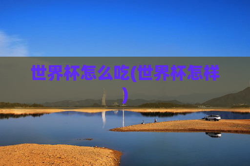 世界杯怎么吃(世界杯怎样)
