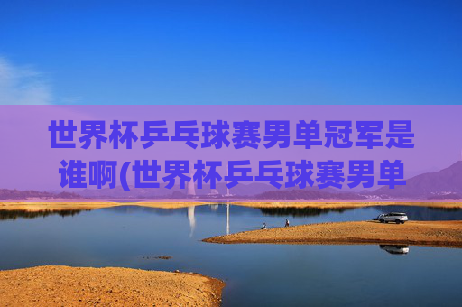 世界杯乒乓球赛男单冠军是谁啊(世界杯乒乓球赛男单冠军是谁啊视频)