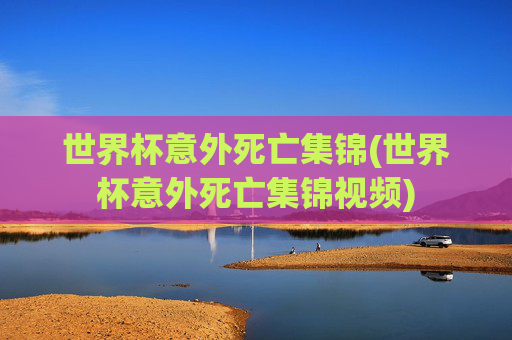 世界杯意外死亡集锦(世界杯意外死亡集锦视频)