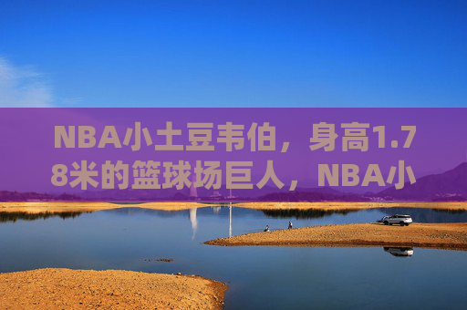 NBA小土豆韦伯,身高1.78米的篮球场巨人,NBA小土豆韦伯,1.78米的篮球场巨人