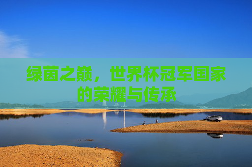 绿茵之巅,世界杯冠军国家的荣耀与传承