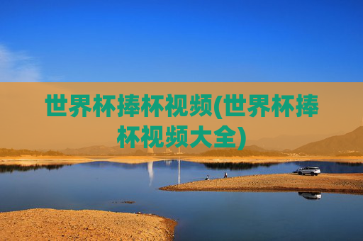 世界杯捧杯视频(世界杯捧杯视频大全)