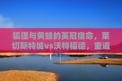 狐狸与黄蜂的英冠宿命,莱切斯特城vs沃特福德,重返之路的激烈碰撞,莱切斯特城与沃特福德,英冠重返之路的狐狸与黄蜂对决