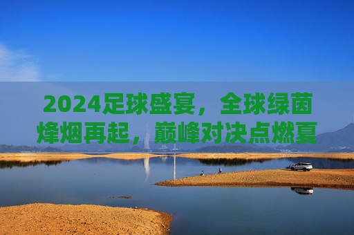 2024足球盛宴,全球绿茵烽烟再起,巅峰对决点燃夏日激情,2024足球盛宴,巅峰对决点燃夏日烽烟