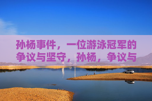 孙杨事件，一位游泳冠军的争议与坚守，孙杨，争议与坚守的冠军之路