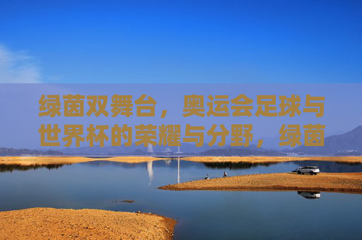 绿茵双舞台,奥运会足球与世界杯的荣耀与分野,绿茵双舞台,奥运足球与世界杯的荣耀分野