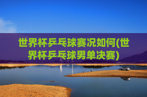 世界杯乒乓球赛况如何(世界杯乒乓球男单决赛)