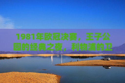 1981年欧冠决赛，王子公园的经典之夜，利物浦的卫冕传奇，1981年王子公园经典夜，利物浦欧冠卫冕传奇