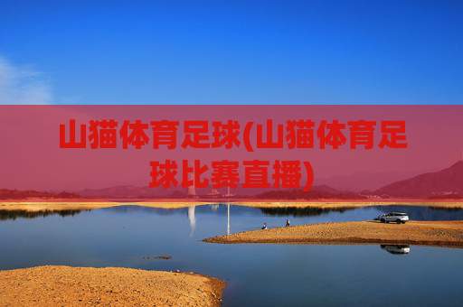 山猫体育足球(山猫体育足球比赛直播)