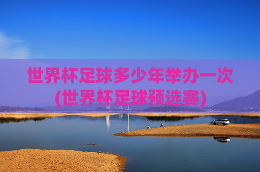 世界杯足球多少年举办一次(世界杯足球预选赛)