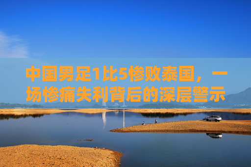 中国男足1比5惨败泰国,一场惨痛失利背后的深层警示,中国男足1比5惨败泰国,深层警示
