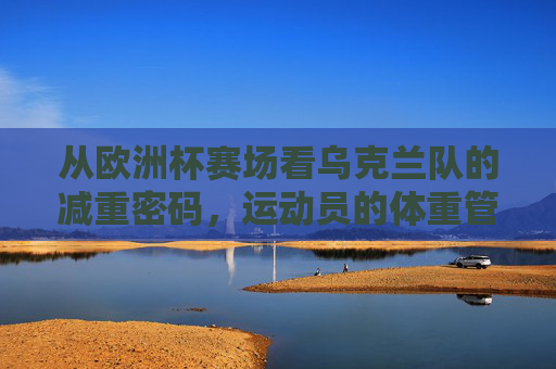 从欧洲杯赛场看乌克兰队的减重密码,运动员的体重管理智慧,欧洲杯乌克兰队减重密码,运动员体重管理智慧