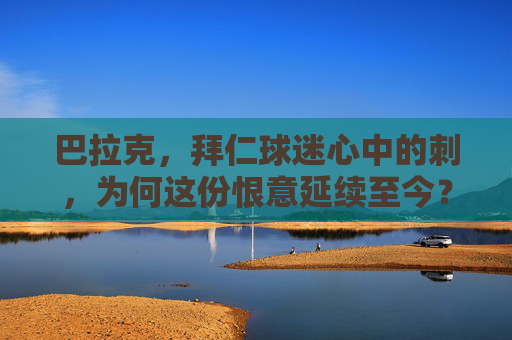 巴拉克,拜仁球迷心中的刺,为何这份恨意延续至今?巴拉克,拜仁球迷心中未愈的刺,恨意缘何至今未消