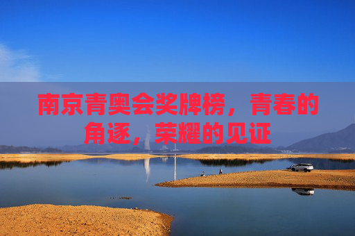 南京青奥会奖牌榜,青春的角逐,荣耀的见证