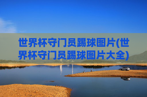 世界杯守门员踢球图片(世界杯守门员踢球图片大全)