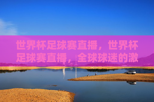 世界杯足球赛直播，世界杯足球赛直播，全球球迷的激情盛宴